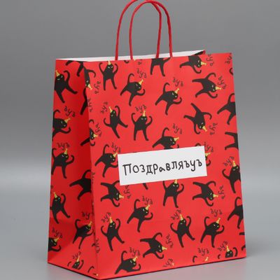 좋은 가격 단단한 비 필름 형성 스티렌-아크릴 코폴리머 에뮬션 가파른 건조 속도와 높은 광택은 종이 기판에 사용됩니다. 온라인으로